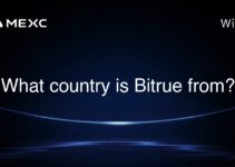 What country is Bitrue from? What country is Bitrue from?