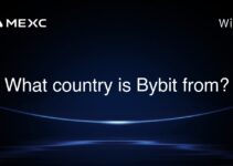 What country is Bybit from? What country is Bybit from?