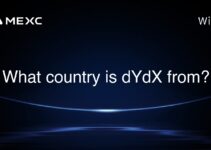 What country is dYdX from? What country is dYdX from?