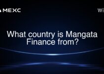 What country is Mangata Finance from? What country is Mangata Finance from?