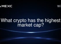 What crypto has the highest market cap? What crypto has the highest market cap?