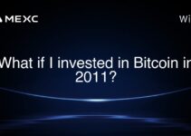What if I invested in Bitcoin in 2011? What if I invested in Bitcoin in 2011?