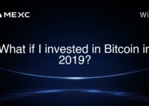 What if I invested in Bitcoin in 2019? What if I invested in Bitcoin in 2019?