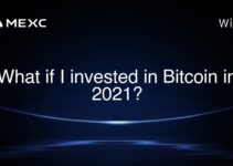 What if I invested in Bitcoin in 2021? What if I invested in Bitcoin in 2021?
