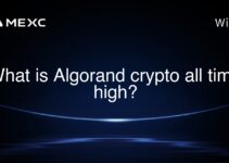 What is Algorand crypto all time high? What is Algorand crypto all time high?