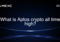 What is Aptos crypto all time high? What is Aptos crypto all time high?