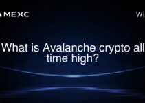 What is Avalanche crypto all time high? What is Avalanche crypto all time high?