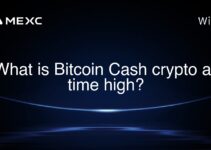 What is Bitcoin Cash crypto all time high? What is Bitcoin Cash crypto all time high?