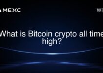 What is Bitcoin crypto all time high? What is Bitcoin crypto all time high?