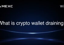 What is crypto wallet draining? What is crypto wallet draining?