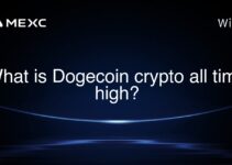 What is Dogecoin crypto all time high? What is Dogecoin crypto all time high?