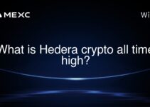 What is Hedera crypto all time high? What is Hedera crypto all time high?