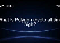 What is Polygon crypto all time high? What is Polygon crypto all time high?