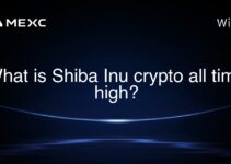 What is Shiba Inu crypto all time high? What is Shiba Inu crypto all time high?