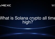 What is Solana crypto all time high? What is Solana crypto all time high?