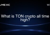 What is TON crypto all time high? What is TON crypto all time high?