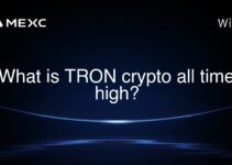 What is TRON crypto all time high? What is TRON crypto all time high?