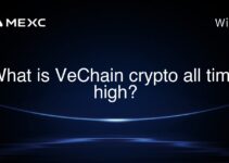 What is VeChain crypto all time high? What is VeChain crypto all time high?