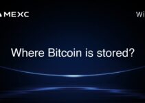 Where Bitcoin is stored? Where Bitcoin is stored?
