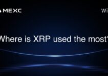 Where is XRP used the most? Where is XRP used the most?