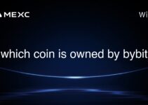which coin is owned by bybit which coin is owned by bybit