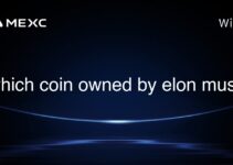 which coin owned by elon musk which coin owned by elon musk