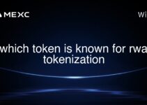 which token is known for rwa tokenization which token is known for rwa tokenization