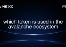 which token is used in the avalanche ecosystem which token is used in the avalanche ecosystem