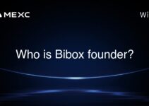 Who is Bibox founder? Who is Bibox founder?