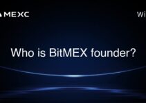 Who is BitMEX founder? Who is BitMEX founder?