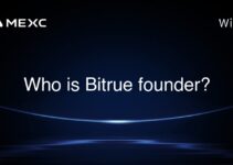 Who is Bitrue founder? Who is Bitrue founder?