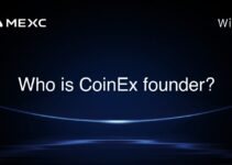 Who is CoinEx founder? Who is CoinEx founder?