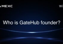 Who is GateHub founder? Who is GateHub founder?