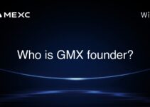 Who is GMX founder? Who is GMX founder?