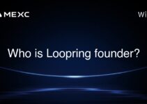 Who is Loopring founder? Who is Loopring founder?