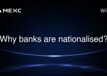 Why banks are nationalised? Why banks are nationalised?