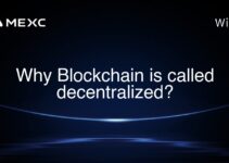 Why Blockchain is called decentralized? Why Blockchain is called decentralized?