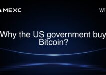 Why the US government buy Bitcoin? Why the US government buy Bitcoin?
