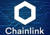 LINK鲸鱼的活动在八月份增强至七个月来的最高点 LINK鲸鱼的活动在八月份增强至七个月来的最高点