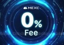 Why Pay Fees When You Can Trade for Free? The Power of Zero-Fee Trading & Airdrops on MEXC Why Pay Fees When You Can Trade for Free? The Power of Zero-Fee Trading & Airdrops on MEXC