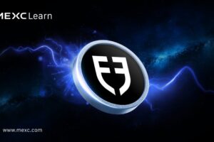 Ano ang Football.Fun? Isang Web-Based na Football Management Game na Nakatuon sa Mga Real-World na Laban