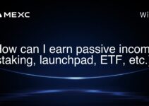 How can I earn passive income (staking, launchpad, ETF, etc.)? How can I earn passive income (staking, launchpad, ETF, etc.)?