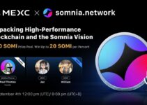 Somnia Network AMA Recap: Building the Future of High-Performance Blockchains Somnia Network AMA Recap: Building the Future of High-Performance Blockchains