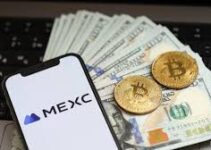 MEXC Earn: Making Your Coins Work for You Even While You Sleep MEXC Earn: Making Your Coins Work for You Even While You Sleep