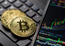 投機家の活動の弱まりがビットコインの為替レートを安定させた