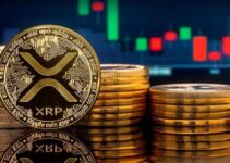 Penurunan Token XRP di Bursa Picu Reli Baru! Penurunan Token XRP di Bursa Picu Reli Baru!