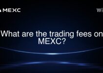 What are the trading fees on MEXC? What are the trading fees on MEXC?