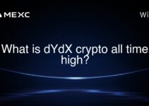 What is dYdX crypto all time high? What is dYdX crypto all time high?