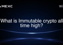 What is Immutable crypto all time high? What is Immutable crypto all time high?