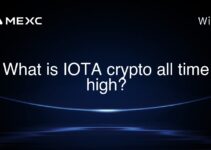 What is IOTA crypto all time high? What is IOTA crypto all time high?